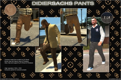 Didier Sachs Pants